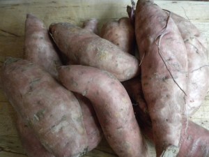 Sweet Potatoes 
