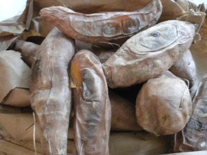 Cooked Sweet Potatoes