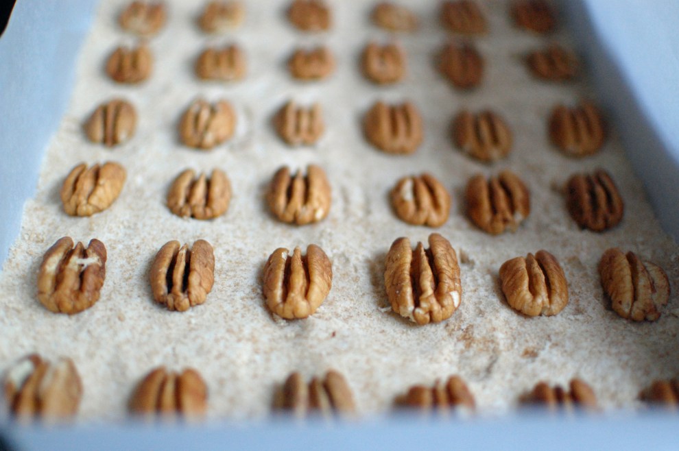 First layer with pecans