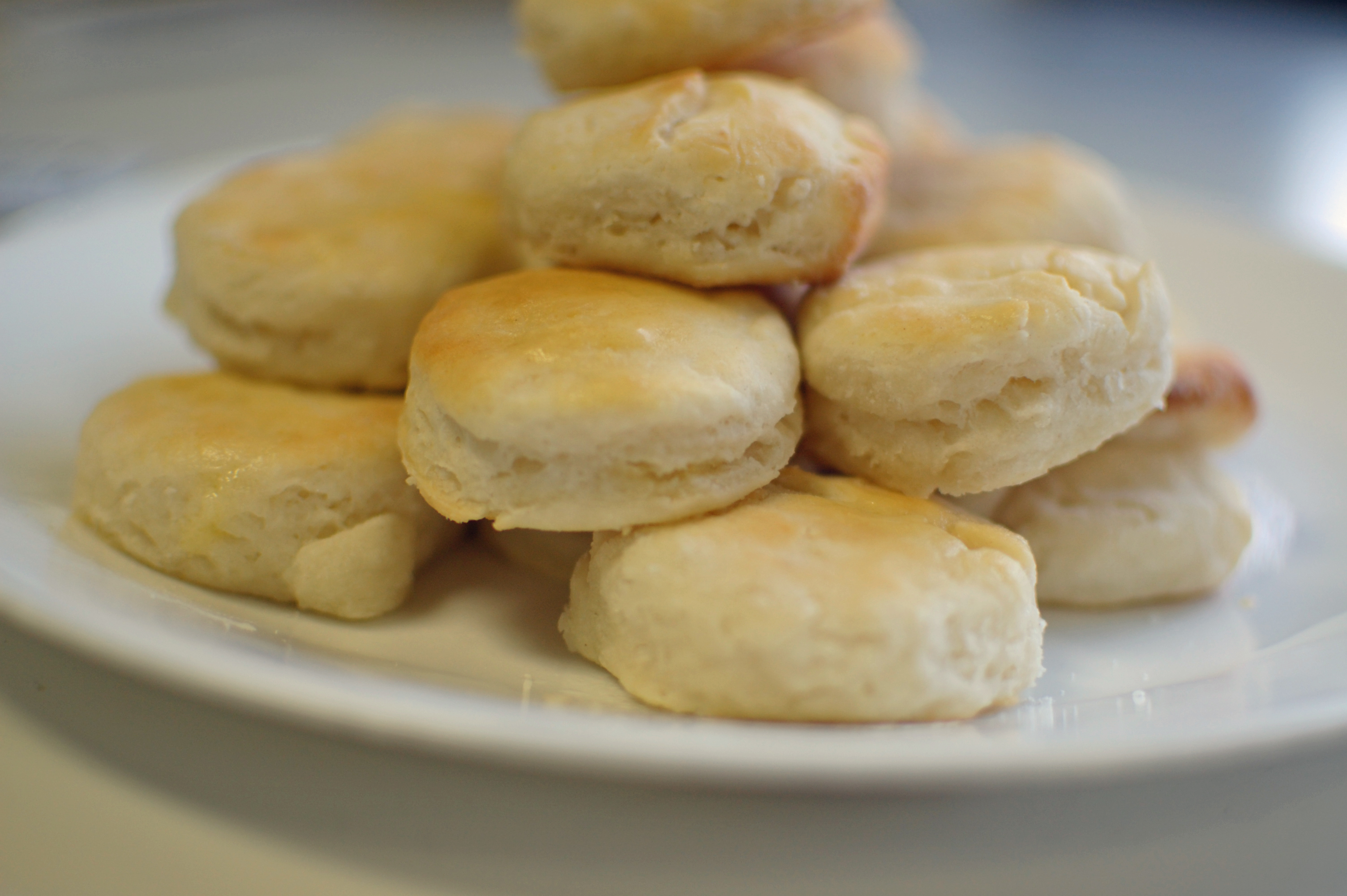 White Lily’s Biscuit Recipe and a Lab | The Teacher Cooks